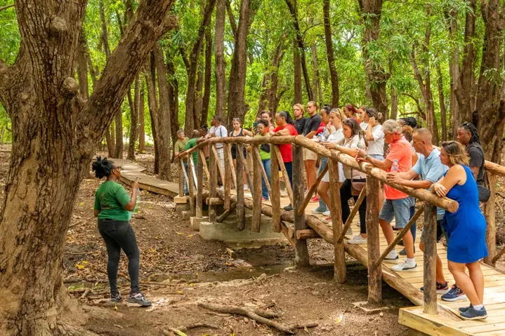 Guided Tour | Hofi Mango Curacao